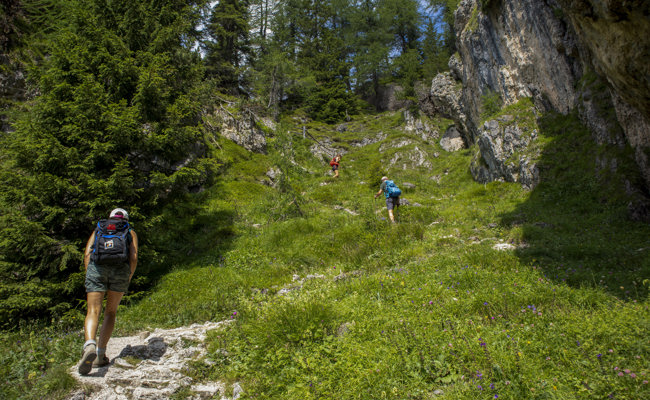 Dokumentname© Freddy Planinschek 115